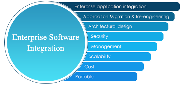 Enterprise Software Integration